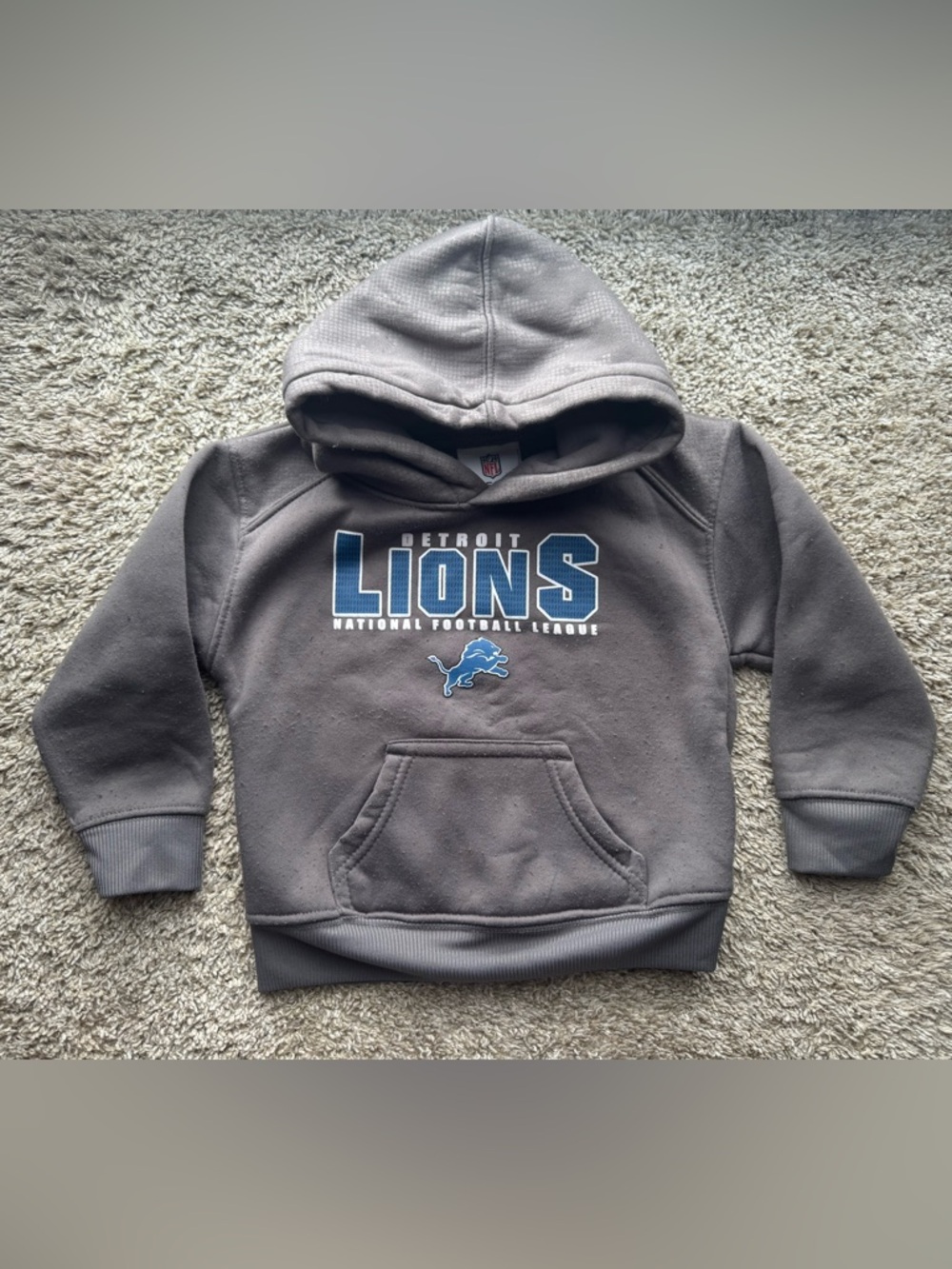 3T Detroit Lions Hoodie NFL Kids Gray Pullover
